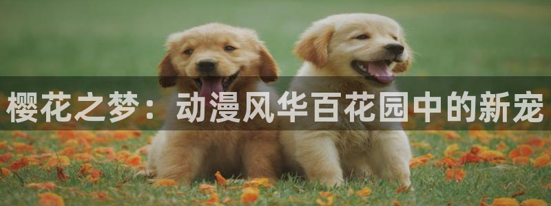 经典里番动漫推荐：樱花之梦：动漫风华百花园中的新宠