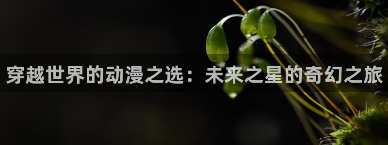 里番动漫网站在线观看：穿越世界的动漫之选：未来之星的奇幻之旅