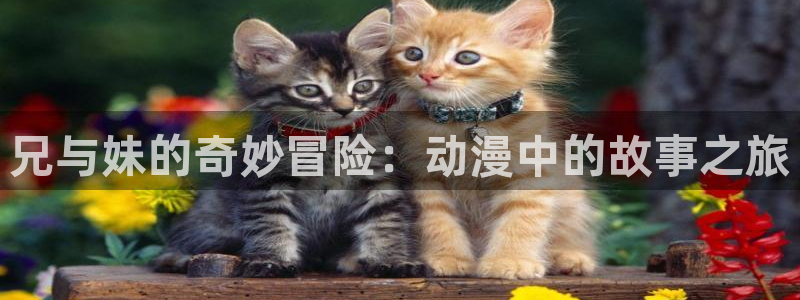 日本里番动漫大全：兄与妹的奇妙冒险：动漫中的故事之旅